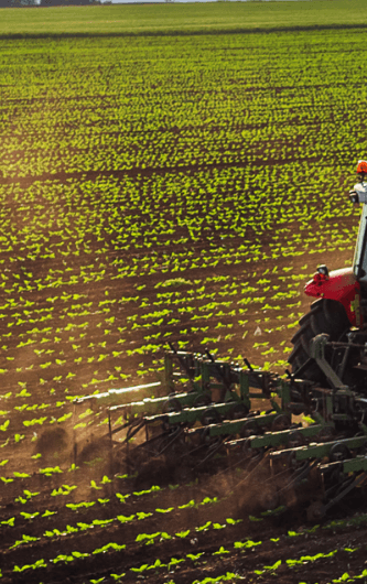 Red Tractor in field 706 x 530
