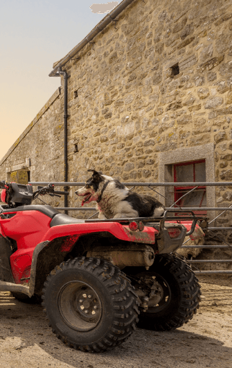 Images Agri Farming Quad bike with Dog 1016 x 607